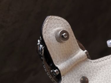 Dionysus Gucci 752029