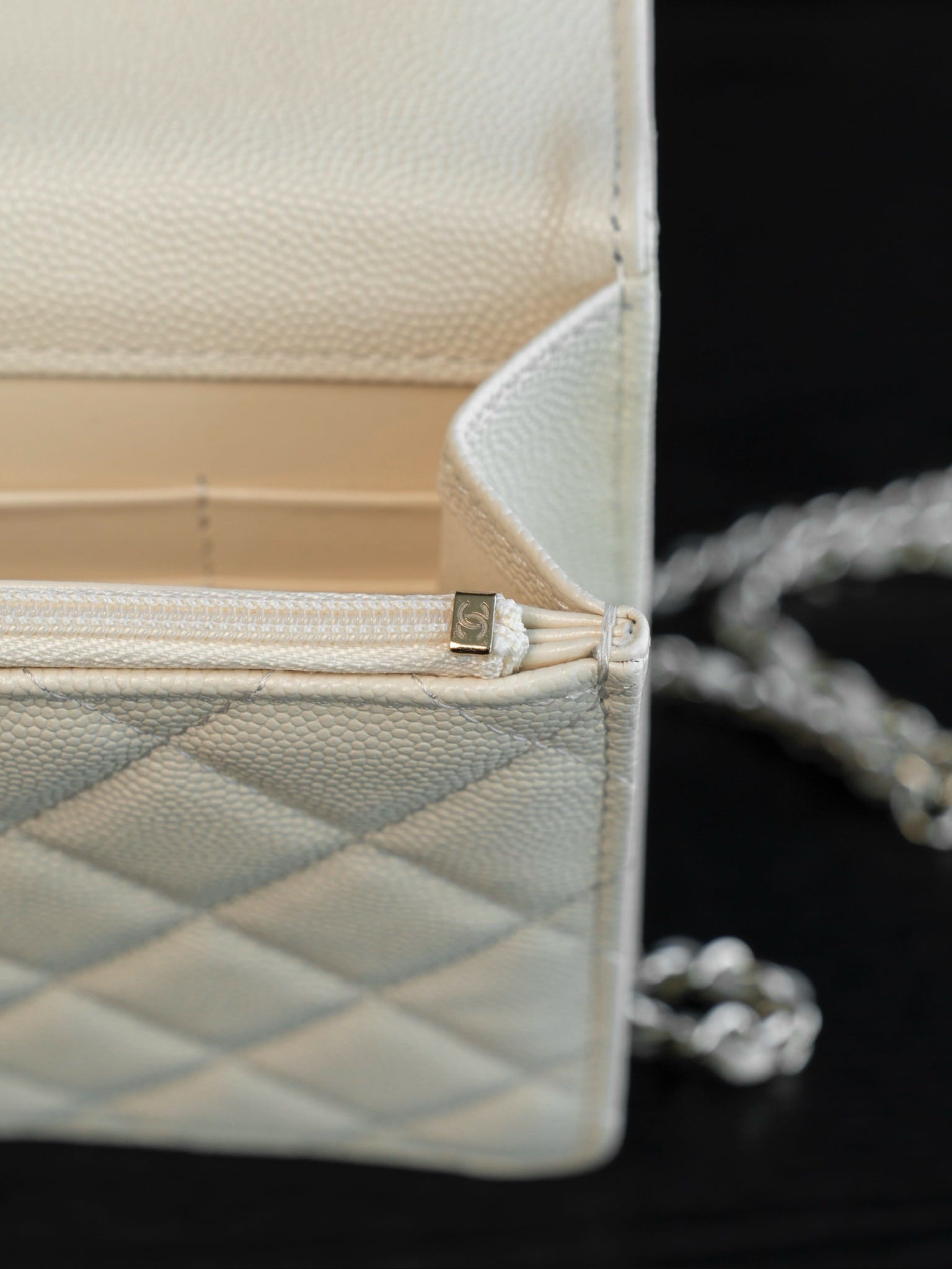 25C Early Spring Chanel 25C.1