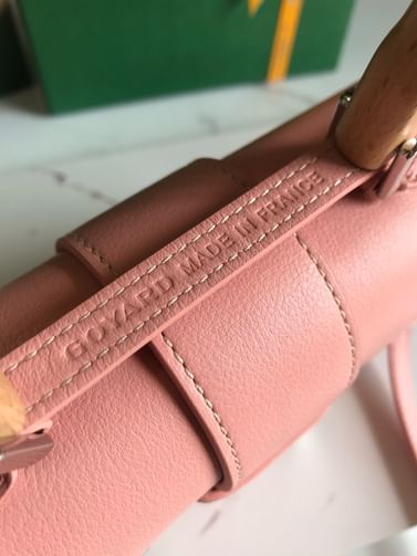 Saigon mini 20 Goyard 1