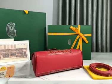 Mini Saigon-9 Goyard