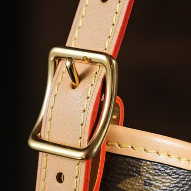 Carryall 39cm Louis Vuitton M46197