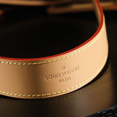 Carryall 39cm Louis Vuitton M46197