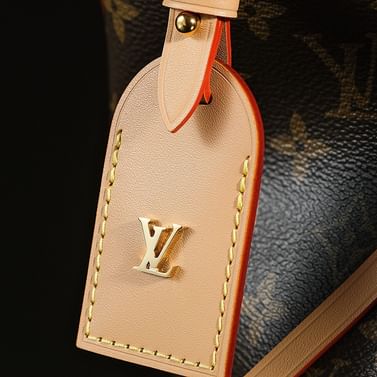 Carryall 39cm Louis Vuitton M46197