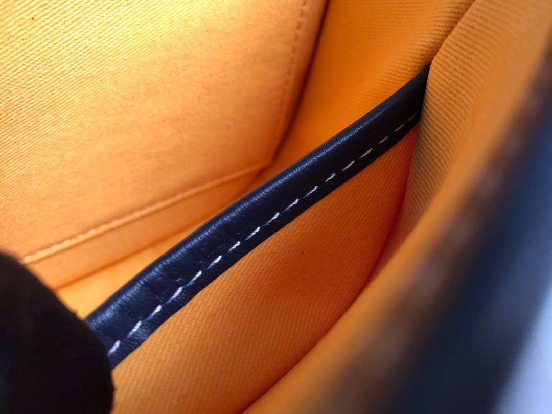 Belvedere Goyard 20198.7