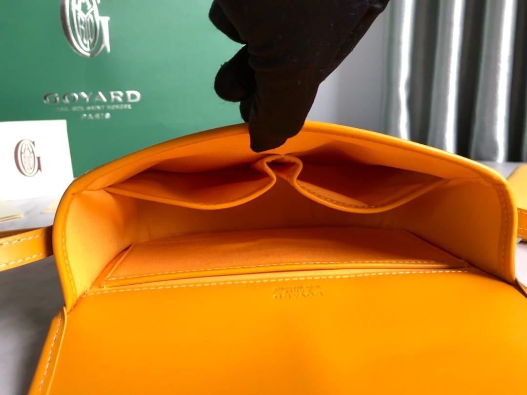 Belvedere Goyard 20198.6