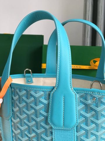 Belharra Goyard 10230.1