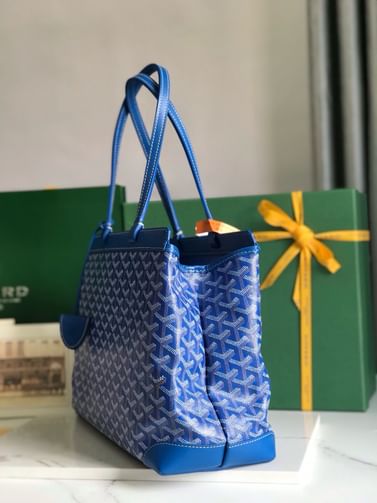 Bellechasse Biaude-5 Goyard