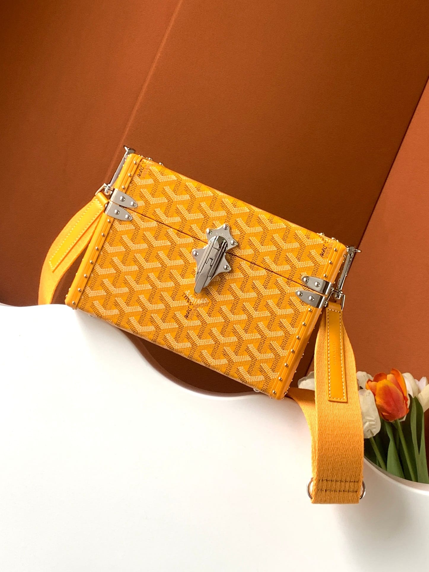 Goyard Cassette Goyard 8821.07