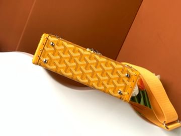 Goyard Cassette Goyard 8821.07