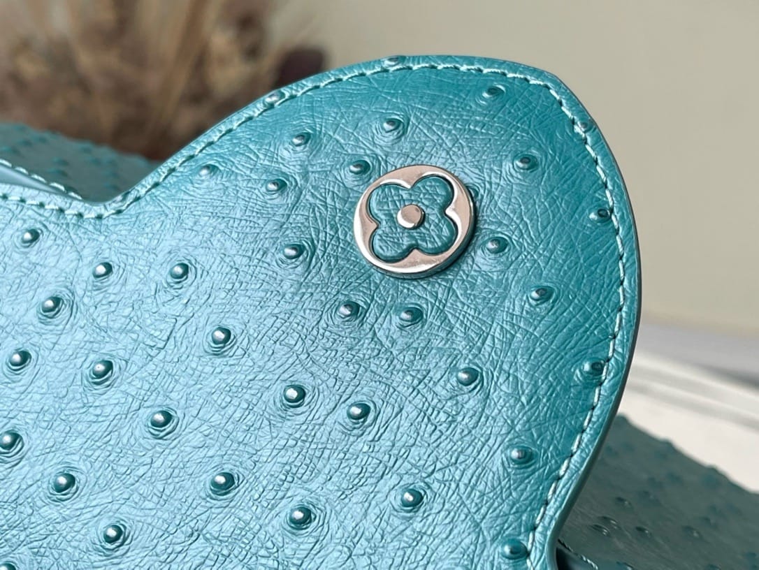 Capucines 31cm Louis Vuitton M95393