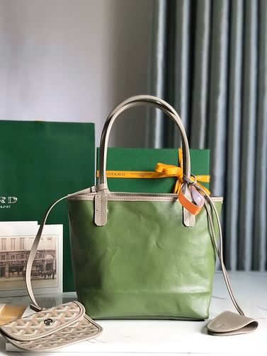 SAINT LOUIS CHEVROCHES Goyard 20660.1