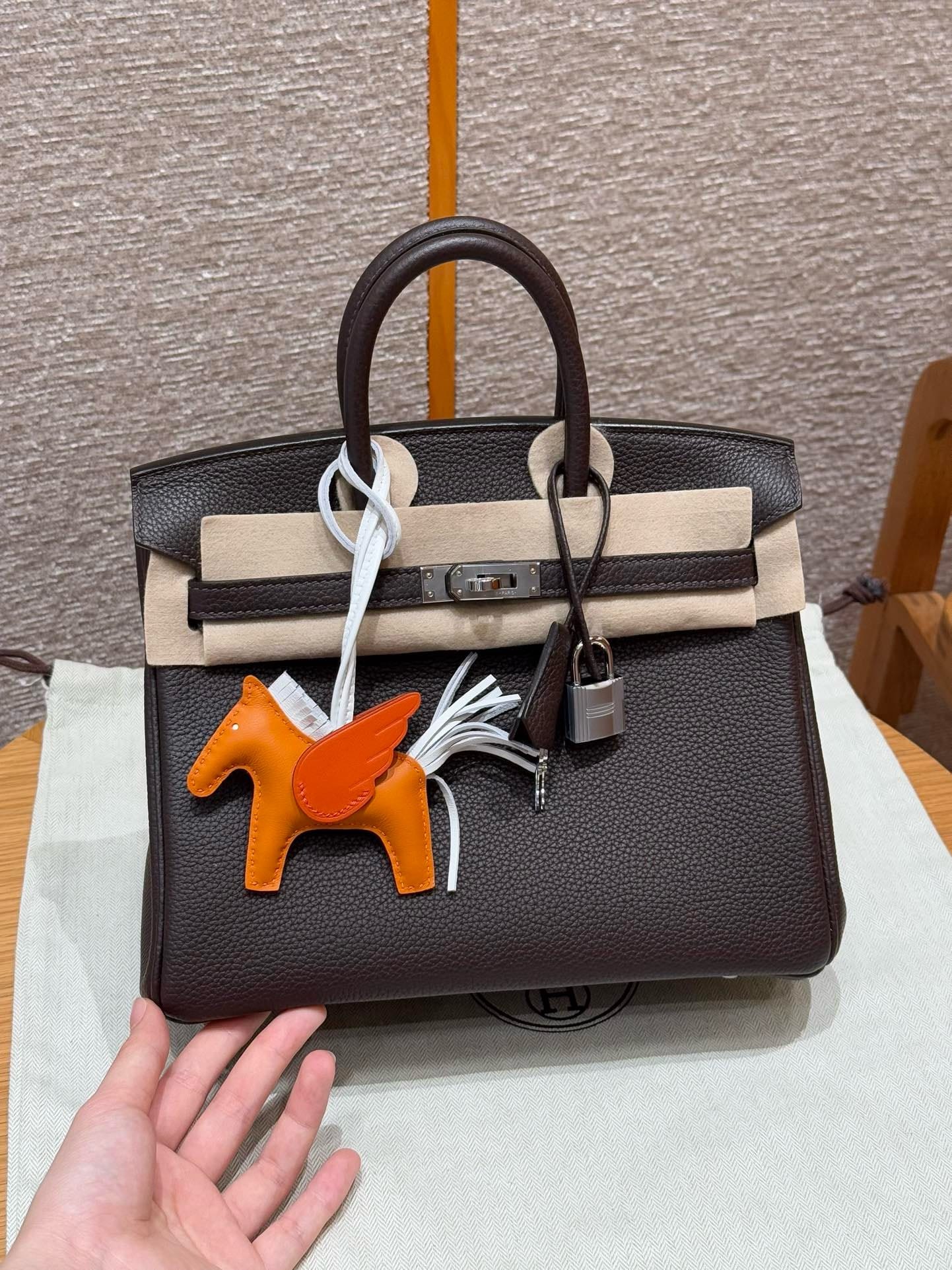 Birkin Hermes Togo 46/Ebene silver