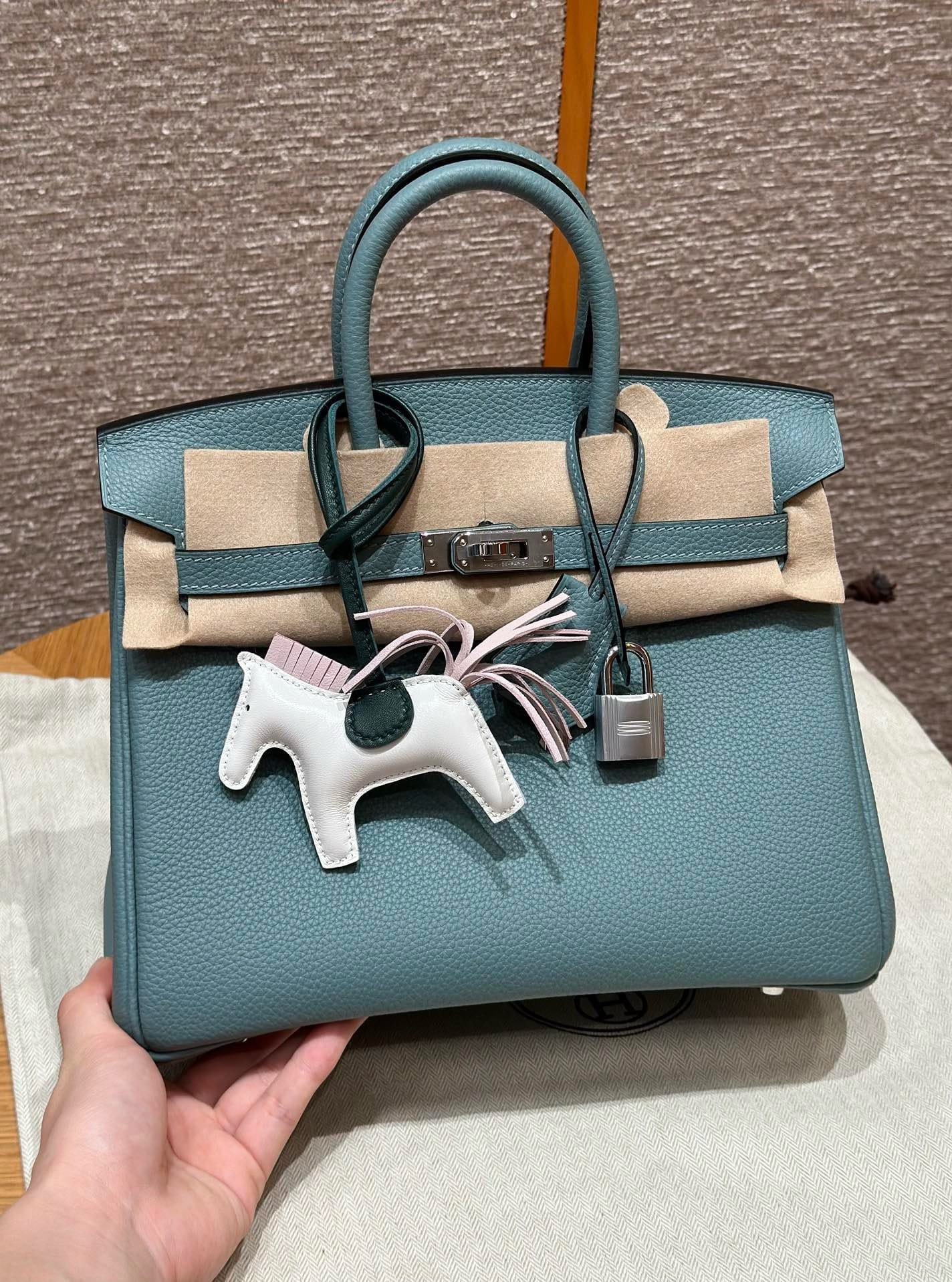 Birkin Hermes Togo 7G/Ciel silver
