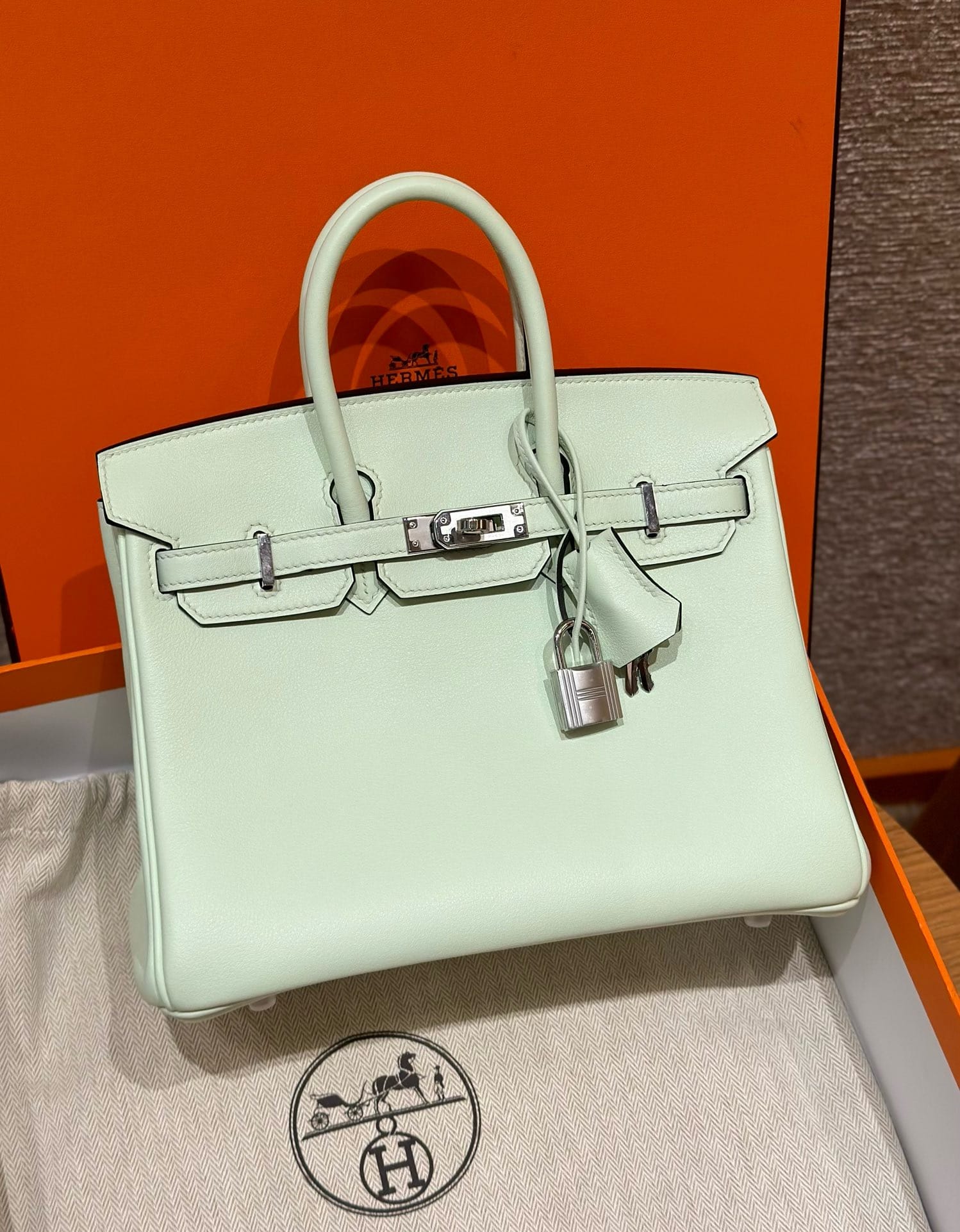 Birkin Hermes Swift 0S/Vert Fizz silver