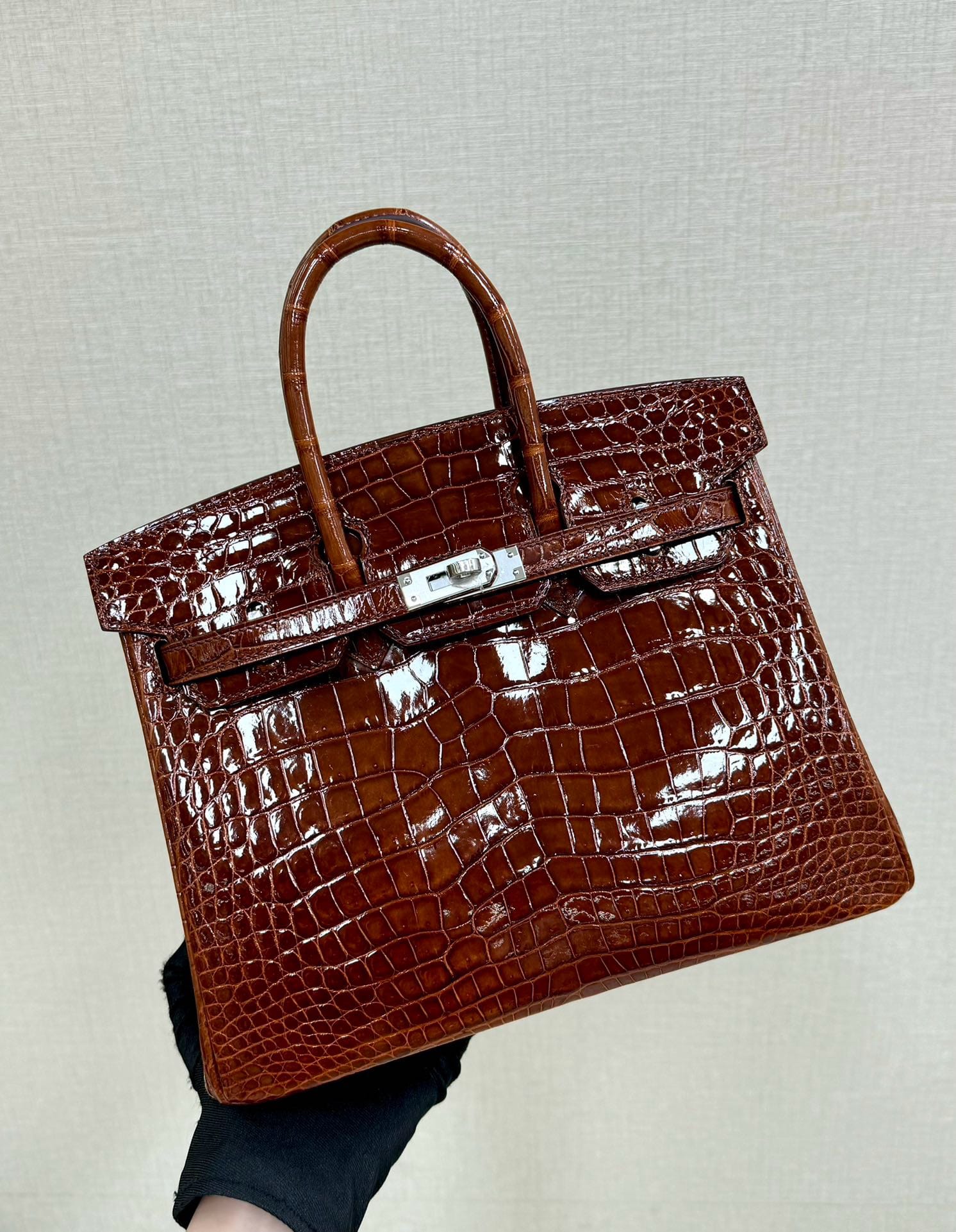 Birkin Croco Hermes BK5.31