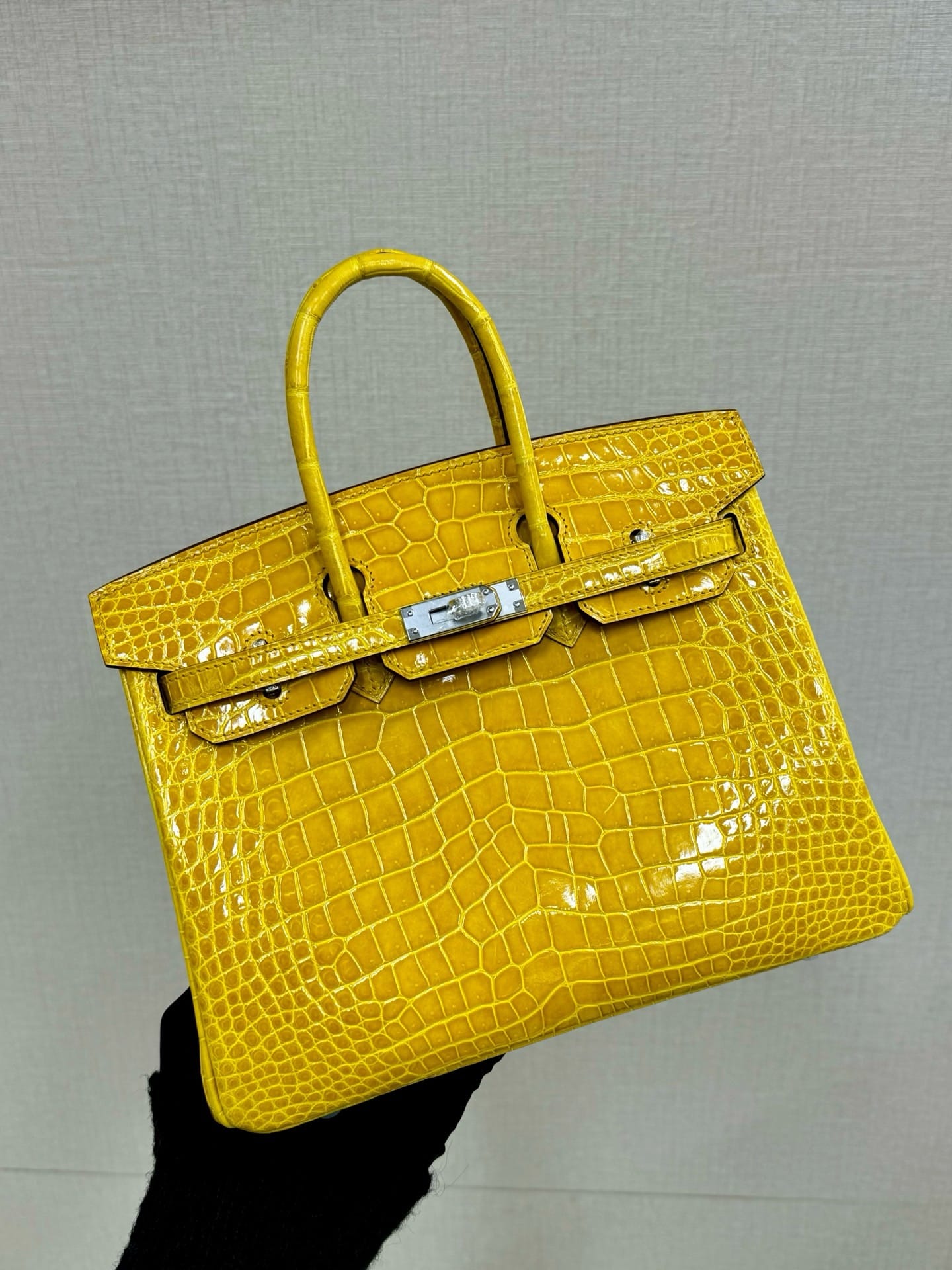 Birkin Croco Hermes BK5.39