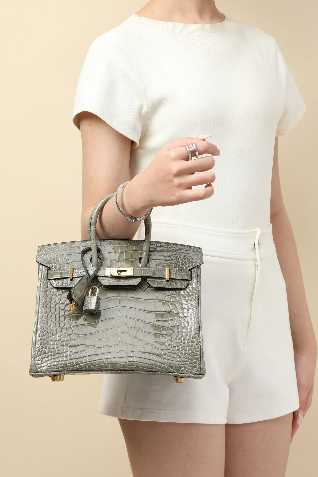 Birkin Croco Hermes BK5.49