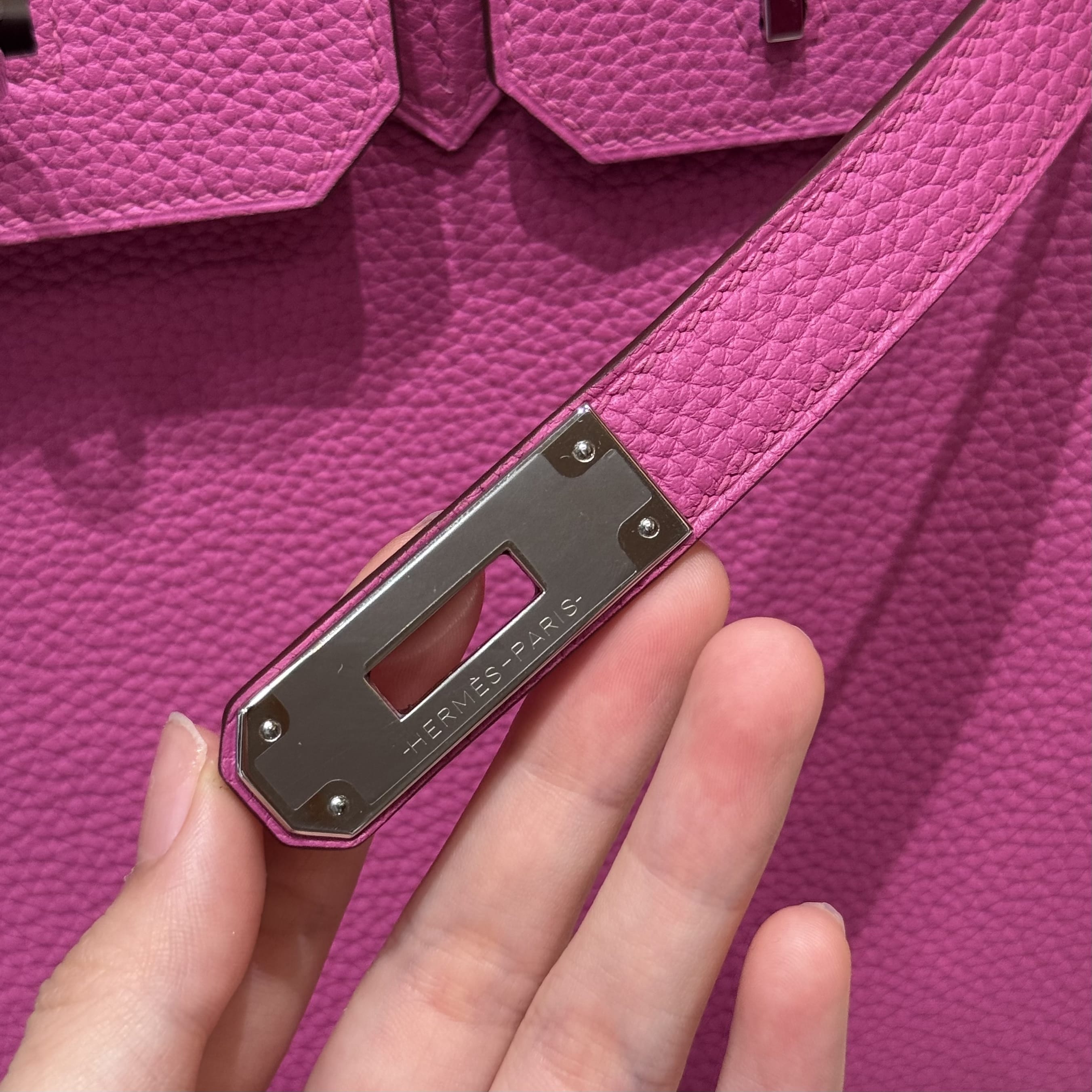 Birkin Hermes Togo 9i/Magnolia silver