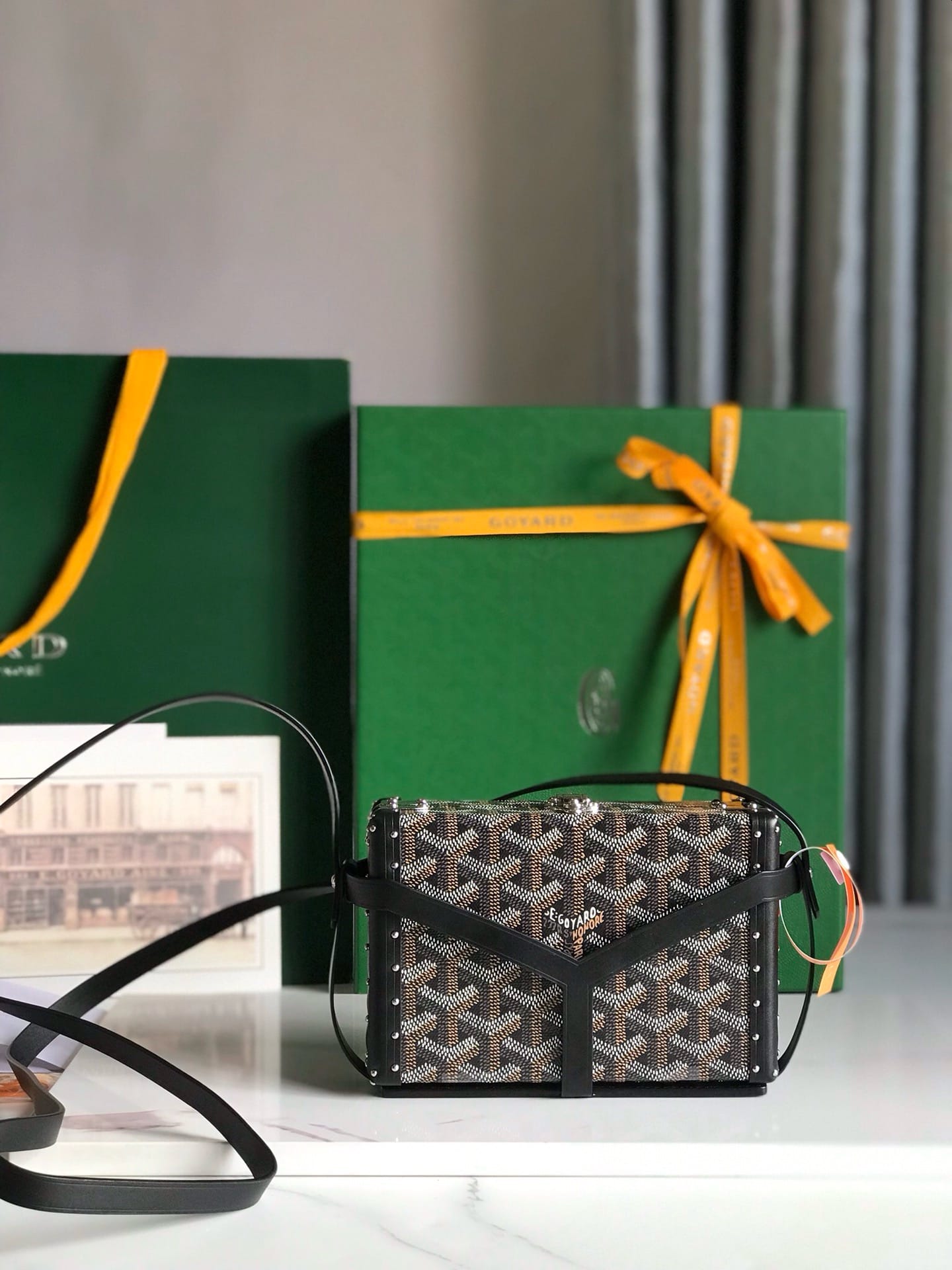 Minaudiere Goyard 20177.11