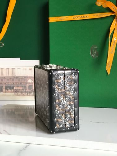 Minaudiere Goyard 20177.11