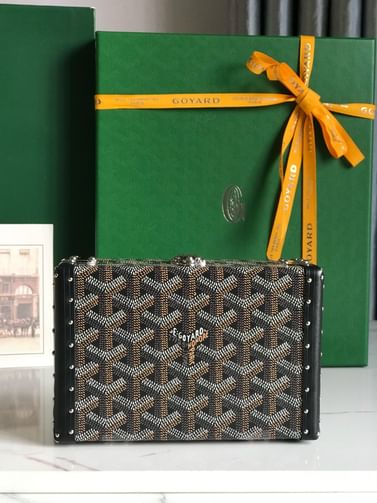 Minaudiere Goyard 20177.11