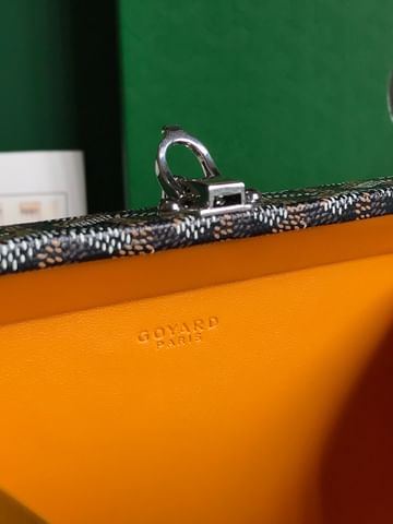 Minaudiere Goyard 20177.11