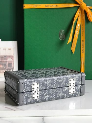 Minaudiere Goyard 2017.1