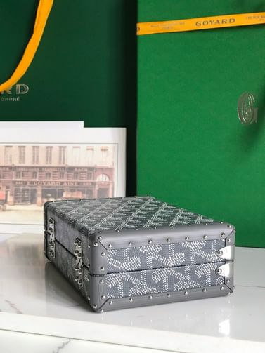 Minaudiere Goyard 2017.1