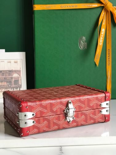 Minaudiere Goyard 20177.8