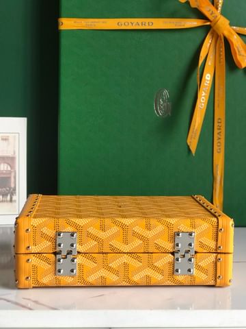 Minaudiere Goyard 20177.7