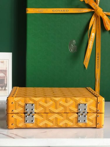 Minaudiere Goyard 20177.7