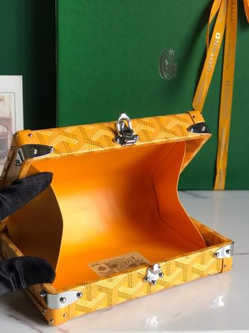 Minaudiere Goyard 20177.7