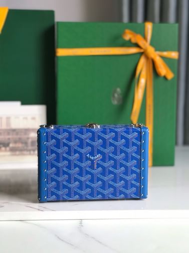 Minaudiere Goyard 20177.5