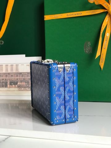 Minaudiere Goyard 20177.5