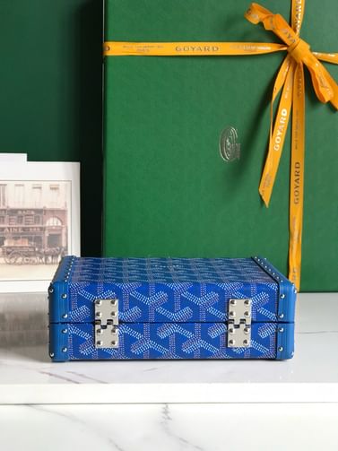 Minaudiere Goyard 20177.5