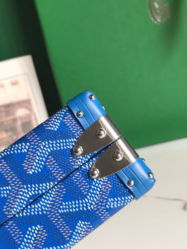 Minaudiere Goyard 20177.5