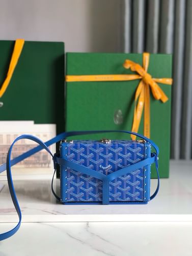 Minaudiere Goyard 20177.5