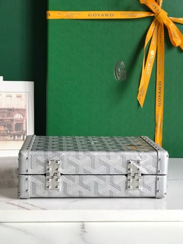 Minaudiere Goyard 20177.4