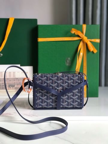 Minaudiere Goyard 20177.2