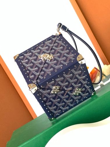 DE TUNK Goyard 8215,12a