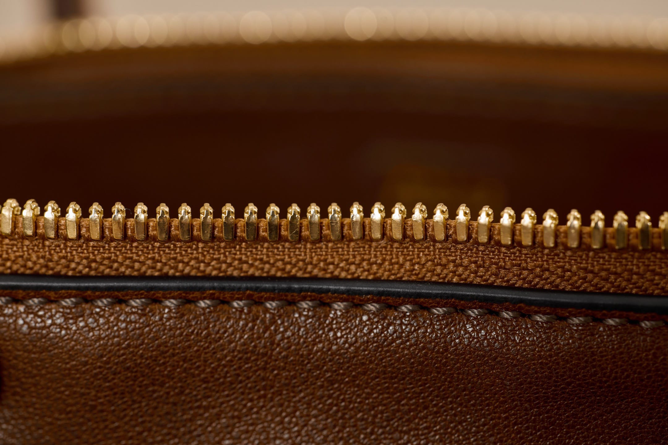 Aventure 21cm Miu Miu 5B090