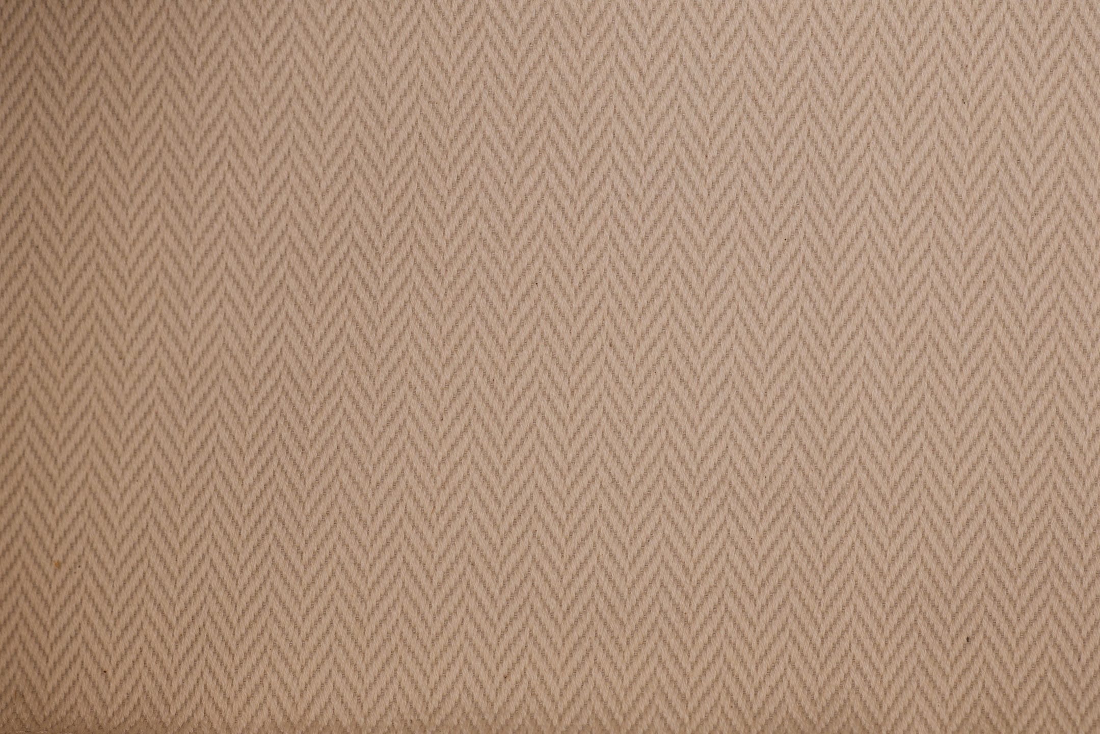 Aventure 44cm Miu Miu 5BG310