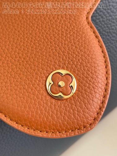 Capucines 31cm Louis Vuitton M48865.2