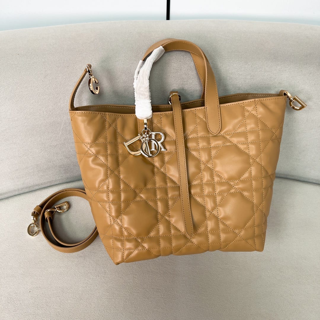 Toujours Dior 2025.6