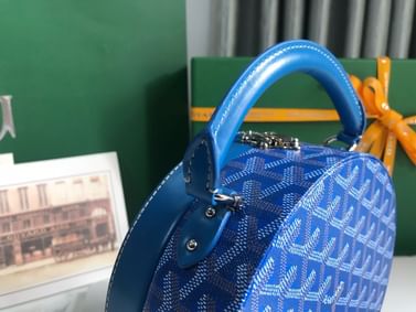 Alto Goyard 20216.3