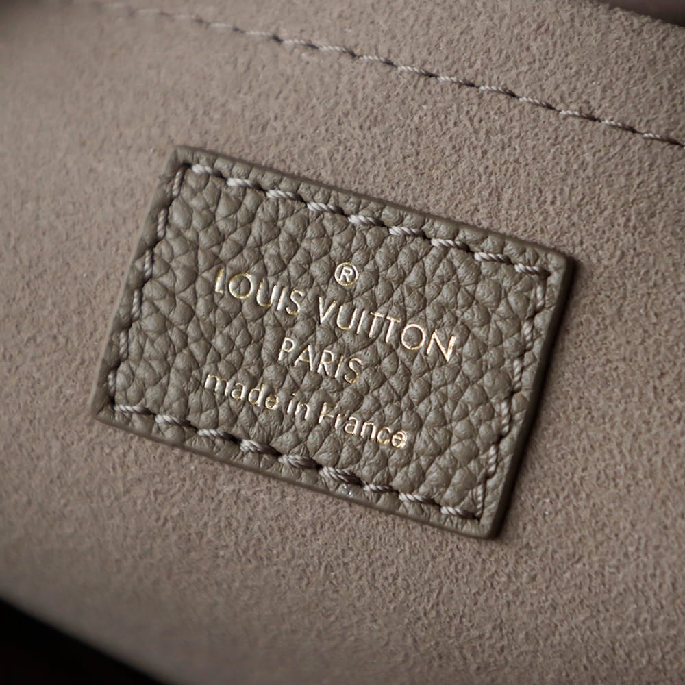 Speedy 20 Louis Vuitton M46575