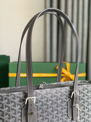 Okinawa Goyard 20175.3