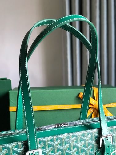 Okinawa Goyard 20175.2