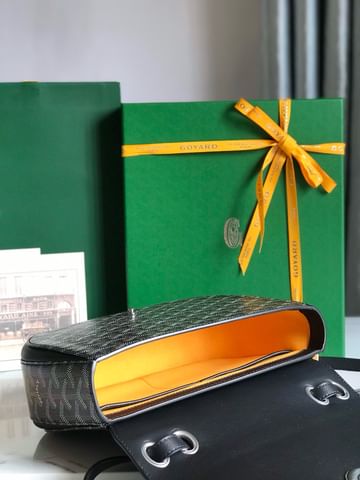 233 Goyard 20213
