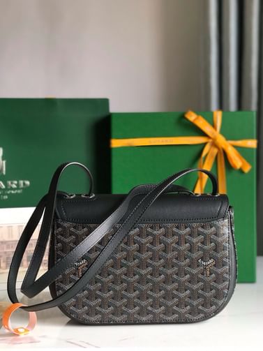 233 Goyard 20213